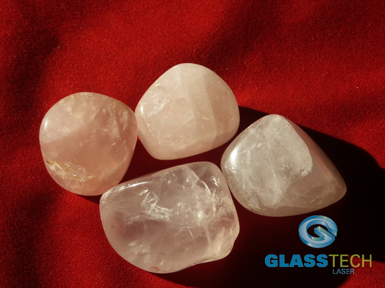 Růženín - velikost XXL