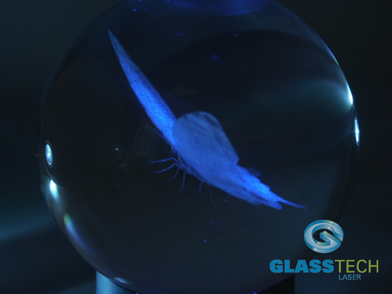 3D Motýl v kouli 100 mm